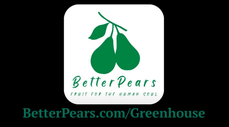 Mid-Season Update v.2